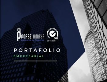 PORTAFOLIO PEREZ AMAYA