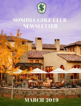 template for newsletter