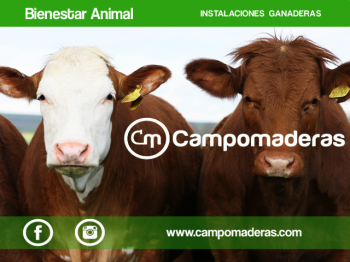 Catalogo Campomaderas
