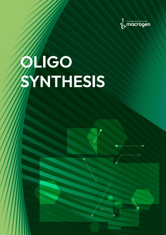 Oligo 홍보 브로슈어 (2026)