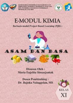 E-Modul ASAM DAN BASA