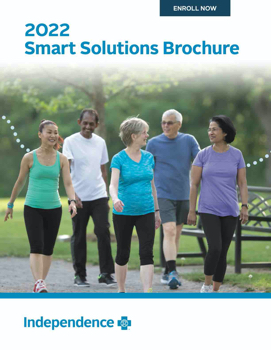 2022 Smart Solutions Brochure - Tandigm