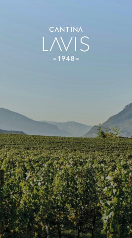 2025_catalogo-lavis-07-digitale-lw