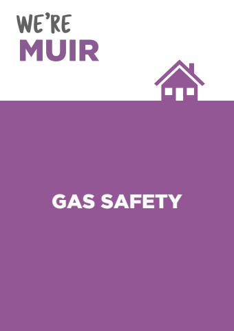 Factsheet - Gas Safety 2024