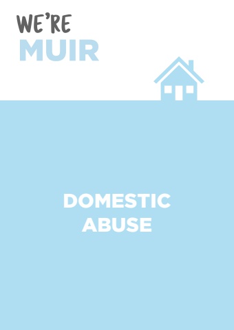 Factsheet - Domestic Abuse 2024