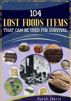 104 Lost Food Items