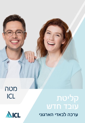 ערכת באדי ארגוני מטה