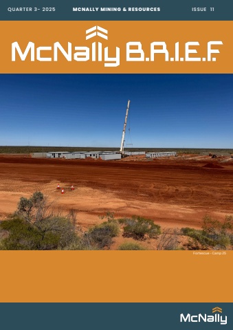 mcnally newsletter issue 11 (4)