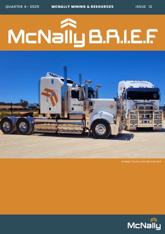 McNally BRIEF - Issue 12