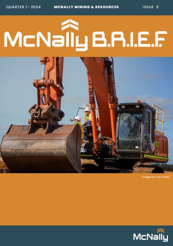 McNally BRIEF - Issue 5