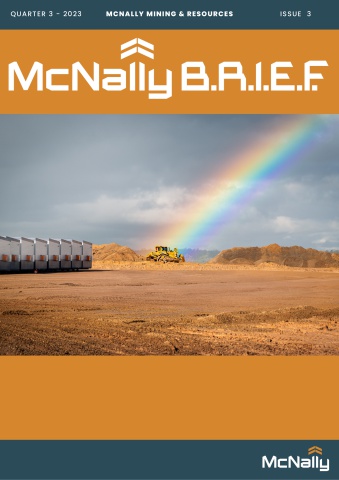 McNally BRIEF - Issue 3