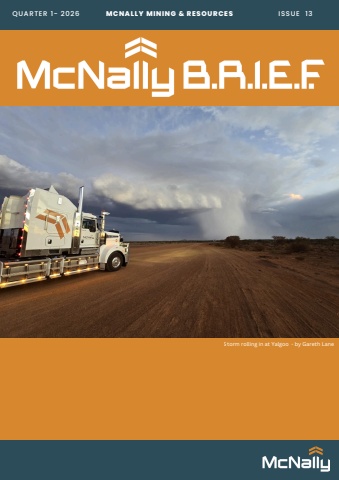 mcnally newsletter issue 13 (5)
