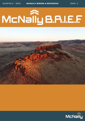 McNally BRIEF - Issue 2