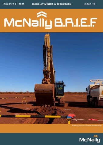mcnally newsletter issue 10 (3)