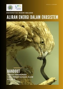 aliran energi DALAM ekosistem