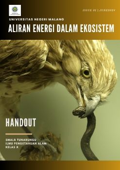 aliran energi DALAM ekosistem