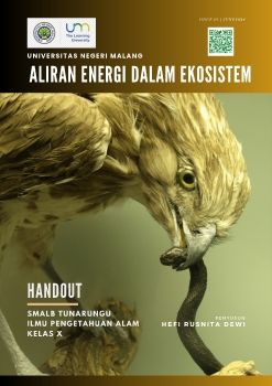 aliran energi DALAM ekosistem