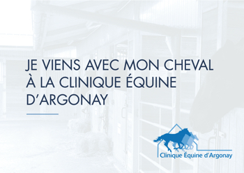 REGLES DE VISITE CLINIQUE EQUINE ARGONAY