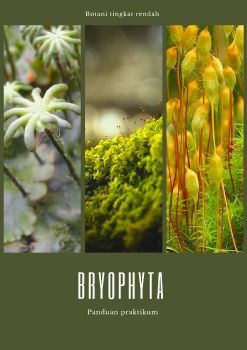 Bryophyta