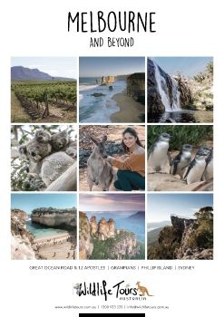 2019-20 WildlifeTours Australia - A4 Brochure pg16 (1)_Neat