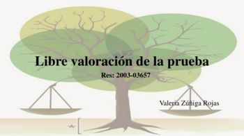 Libre valoración de la prueba