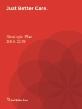 2016-2019 Just Better Care Strategy Plan 