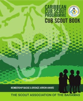CubScoutBronzeArrowAward2020_Neat