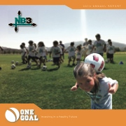 NB3F Annual Report 2011