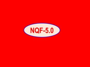 NFQ 5.0