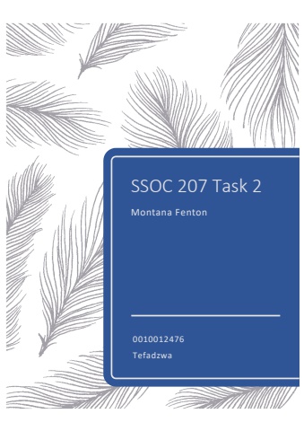 SSOC 207 Task 2 Montana