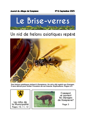 brise-verres16