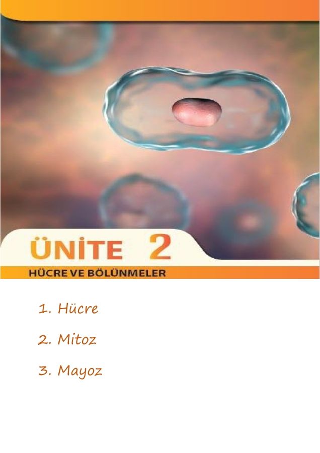 7.2.1 Hücre