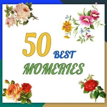 50 Best Momeries