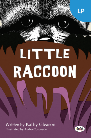 Little Raccoon LP L05