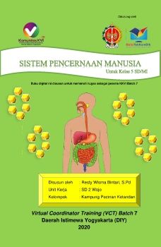 Modul Sistem Pencernaan Manusia VCT _Neat