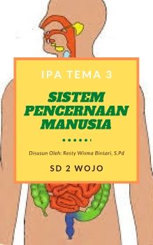 Sistem Pencernaan Manusia Kelas 5