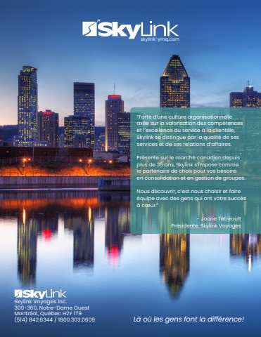 Skylink Voyages. Présentation des outils