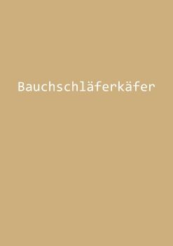 Bauchschläferkäfer