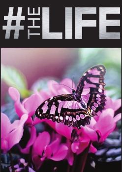 #TheLife Magazine - September 21