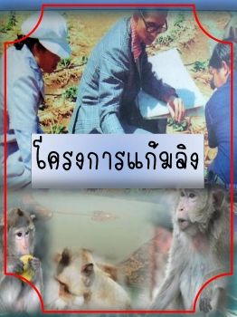 โครงการแก้มลิง