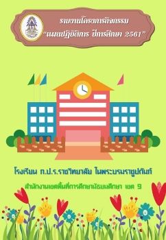 รายงานแผน 61