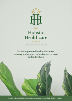 The Holistic Healthcare Group Brochure