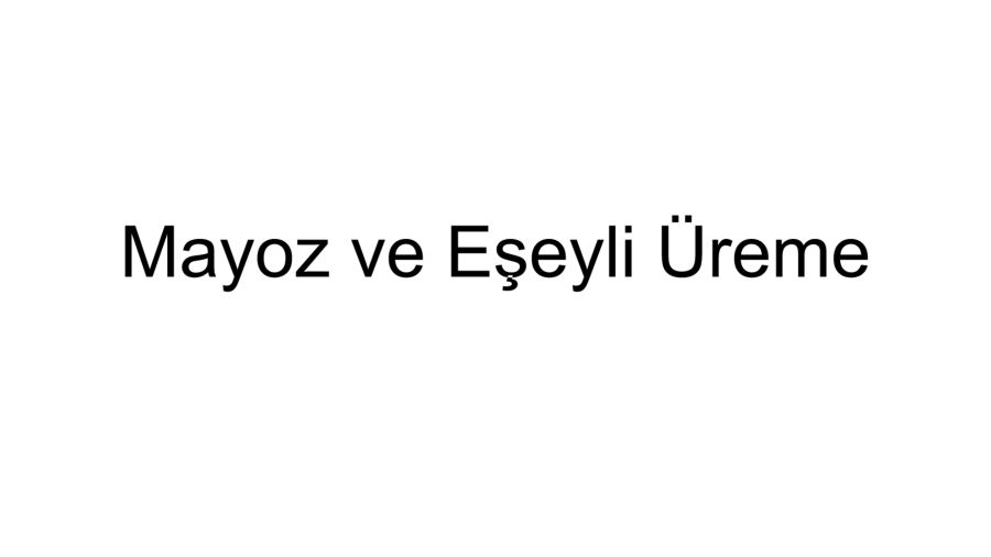 Mayoz ve Eşeyli Üreme