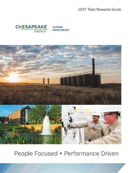 Ches User's Guide 17 3-3