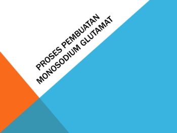 Proses Pembuatan MSG