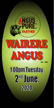 Wairere Angus