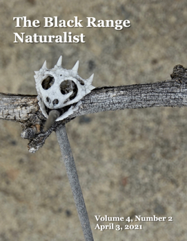 Black Range Naturalist, Vol. 4, No. 2