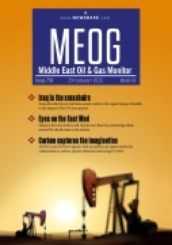 MEOG Week 04