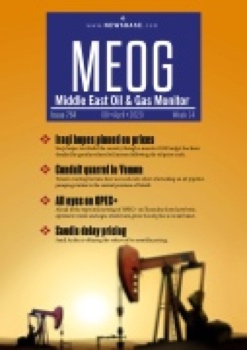 MEOG Week 14