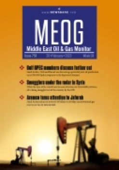 MEOG Week 08